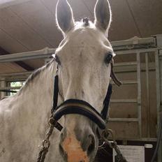 Oldenborg Benjamin (part) <3