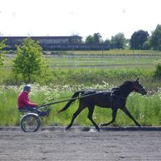 Traver Osaka Steensgård