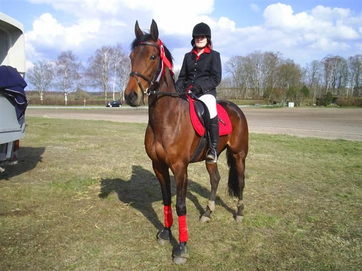 Traver Glory  billede 12