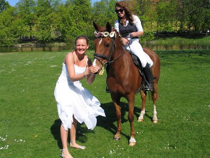 New Forest Ullah (solgt) - Ullah, Cecila & mig til min konfirmation, lige uden foran kirken, :) skide genialt. billede 7