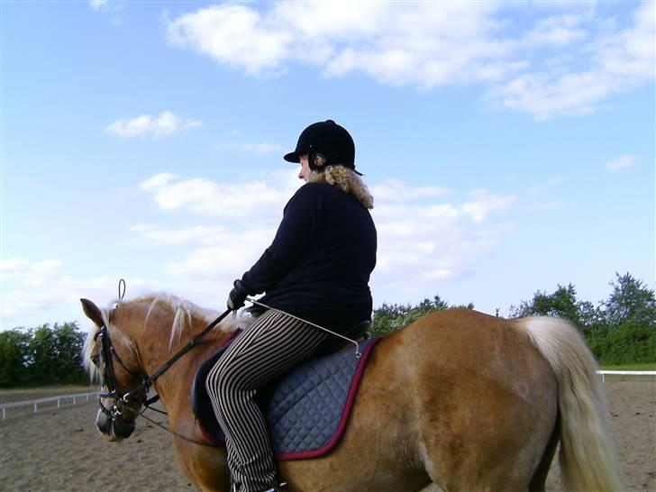 Tyroler Haflinger Lizette (RIP) - Igen Malou der har taget billedet ;o)) billede 12