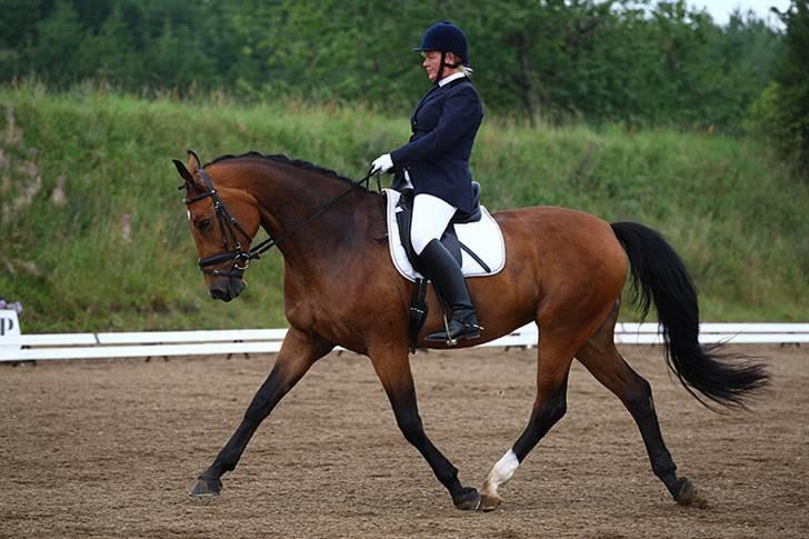 Dansk Varmblod Slandine-W RDH - Dine & Mor i øgning - La3 - fotograf: Glisborg.dk billede 2