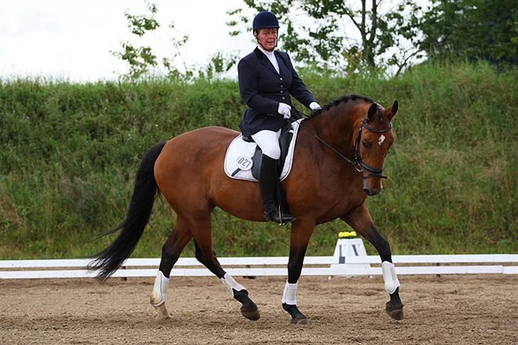 Dansk Varmblod Slandine-W RDH - Dine & Mor i La2 - fotograf: Glisborg.dk billede 4