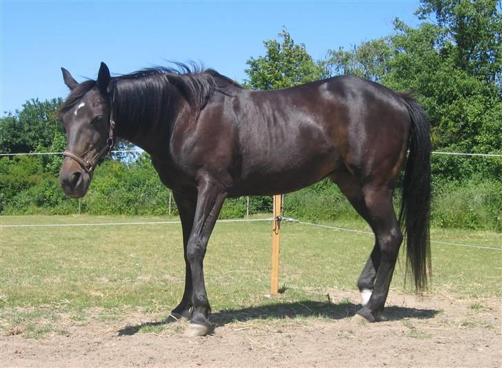 Traver Lizette Lund †090608† - Hey hvad laver du! billede 18