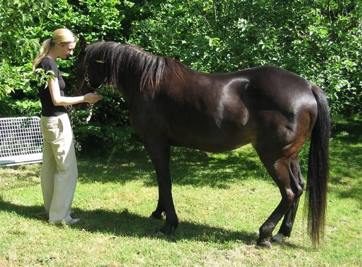 Traver Lizette Lund †090608† - Elsker dig putte billede 1