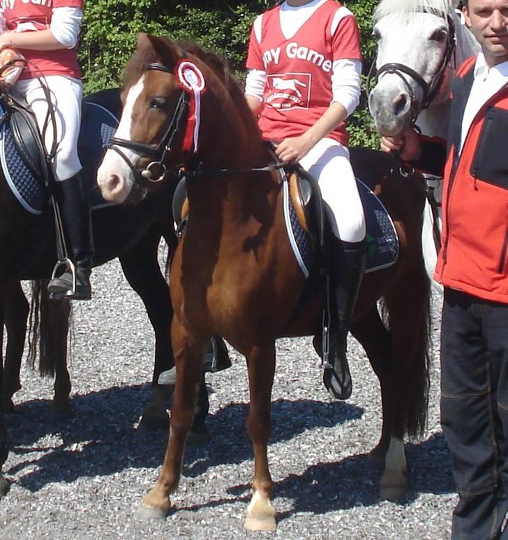 DSP Bella R.I.P ;'(  - vi vandt distriksmester, ingen, igen, og vi vandt stævnet <3 2oo8 billede 3