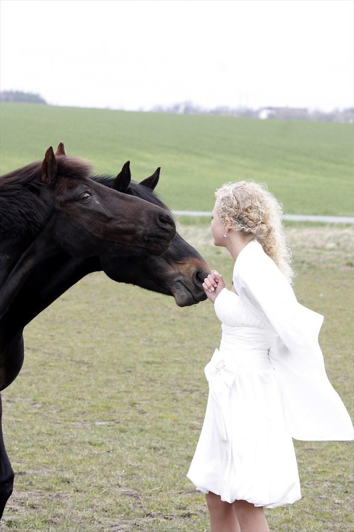 New Forest Cosmo spring pony - Kys mig Mette <3 billede 6