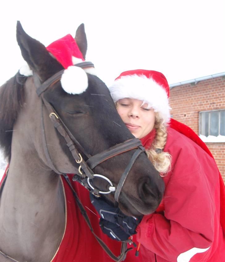 New Forest Cosmo spring pony - Elsker kun dig Cosmo <3 billede 8