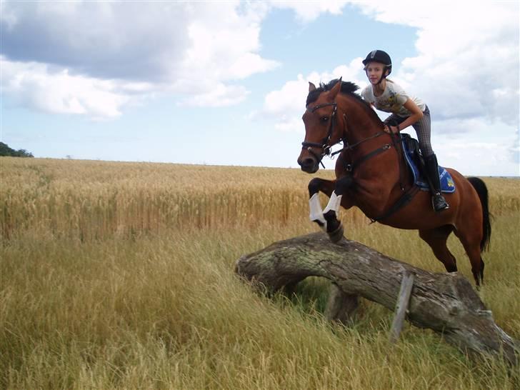 Anden særlig race Cometessa gammel part :-* - jah :) hun er en super springer!!! :-* <33 billede 7