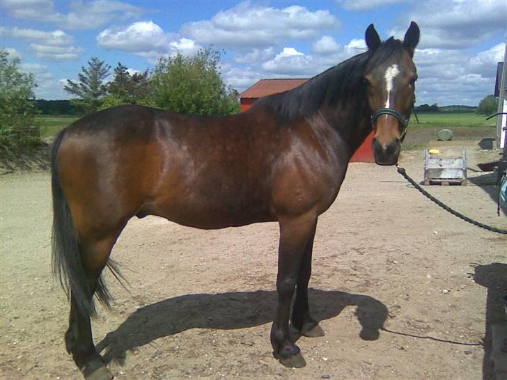 Traver Emcey - Emcey hvor han er fotogen.  billede 1