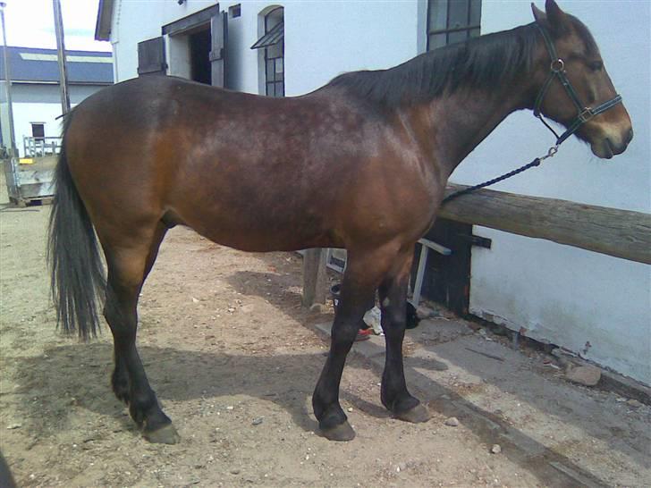 Traver Emcey - Så sjovt er det altså ikke.  billede 2
