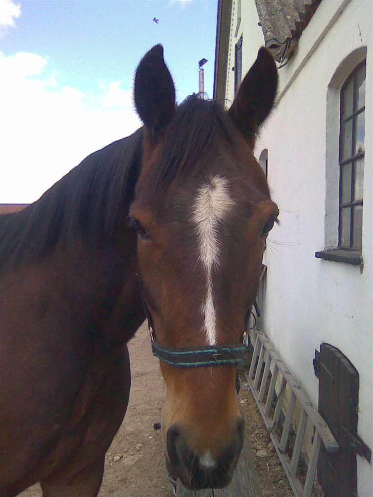 Traver Emcey billede 3