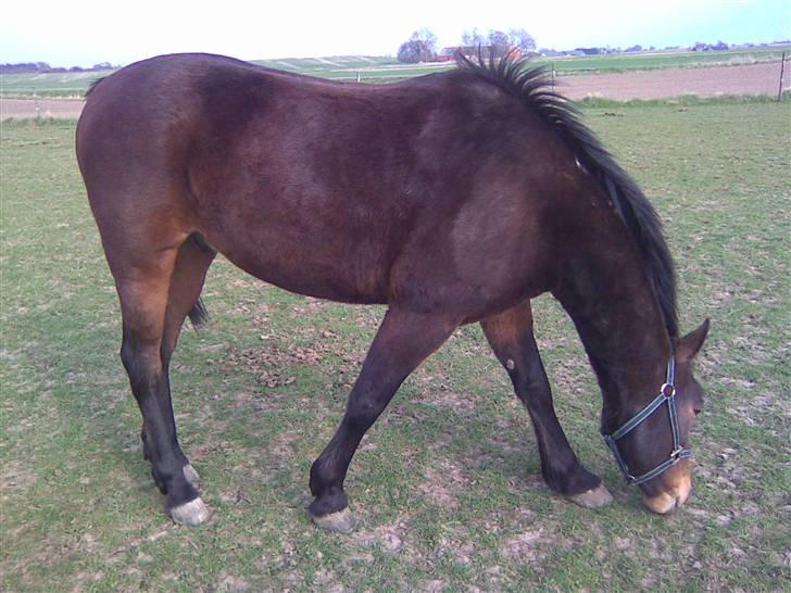 Traver Emcey - Laver det han bedst kan li..  billede 9