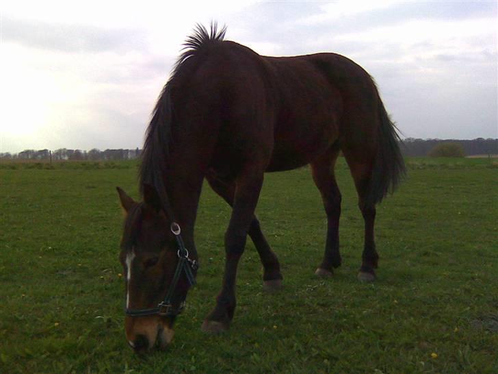 Traver Emcey - Og spiser lidt mere....  billede 10