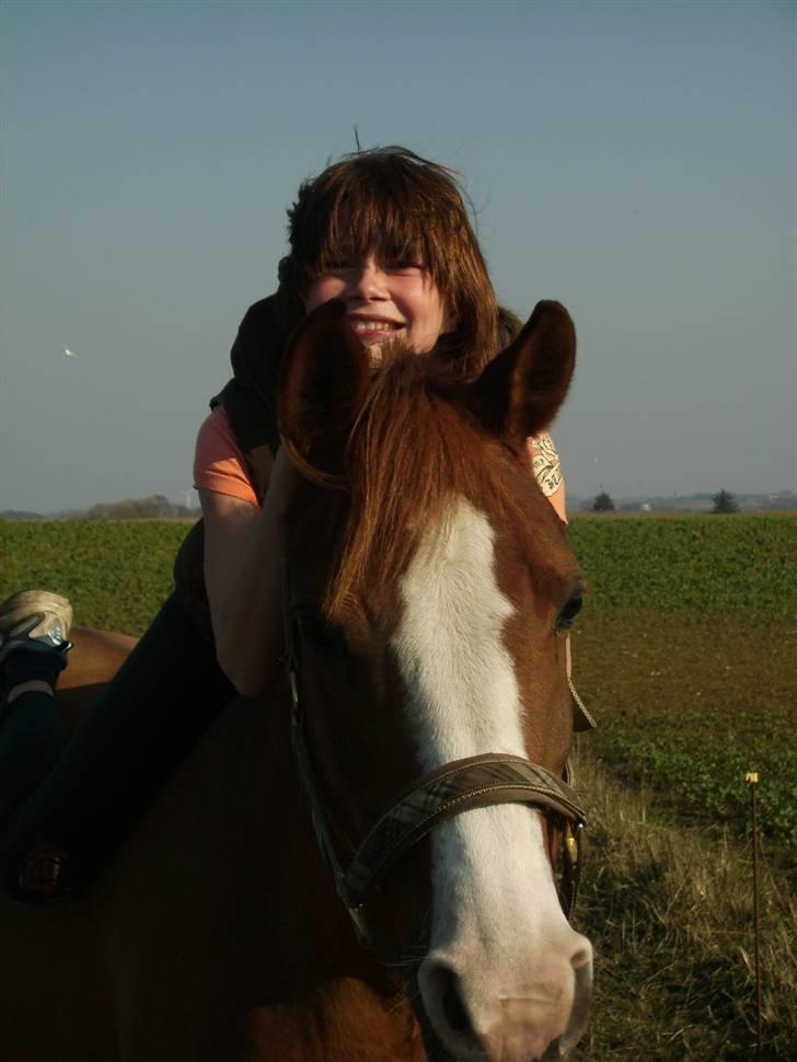 Arabisk fuldblod (OX) Thyra *solgt* - Thyra.. du´ perfekt! billede 2