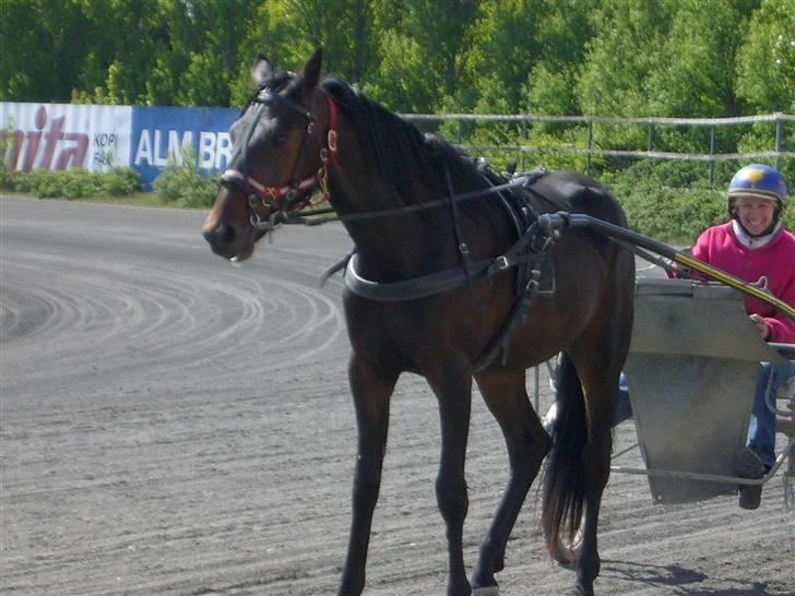 Traver Osaka Steensgård - Stå stille for fotografen. billede 3