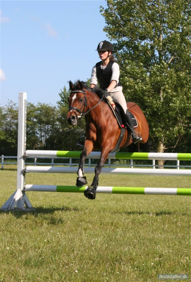 Tysk Sportspony Mirabell  {RIP} - træning . d. 20/5-2008  ! hahah, overvej mit fjæs :D billede 8