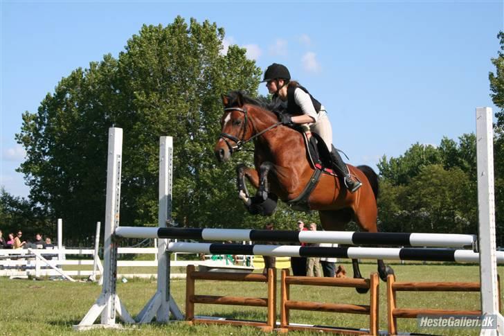 Tysk Sportspony Mirabell  {RIP} - træning . d. 20/5-2008  ! meget lavt :) billede 9
