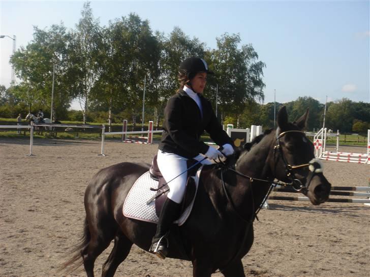 Traver Dijon Amber - stævne d. 14. september 2008 {L} 50 cm. :D så stolt af os begge :-* billede 2