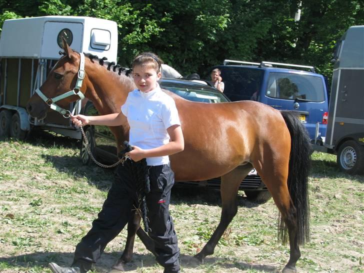 Anden særlig race Højgårds Magic Star *EX* - Til 1. stævne.....<33 billede 12