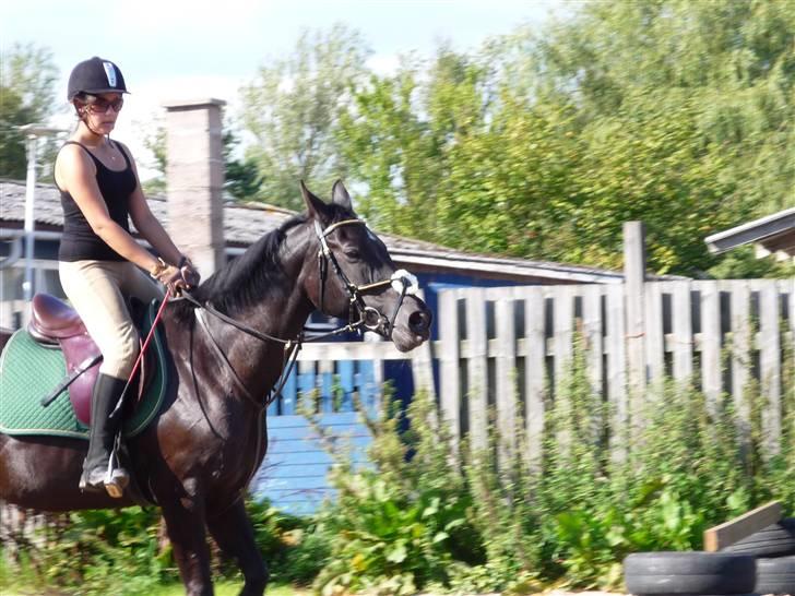 Traver Dijon Amber - mig og min dejlige pige ;D billede 17