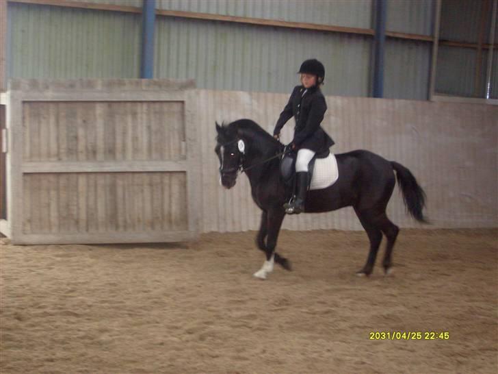 DSP sherrydan solgt :( - lige inden lc2 i sæby, det var det bedste stævne billede 9