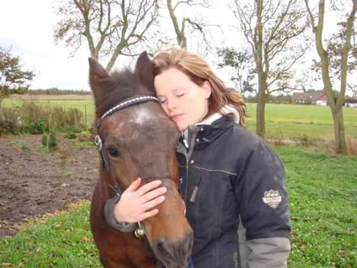 New Forest Red knigth - den sidste krammer uha det var hårdt  billede 18