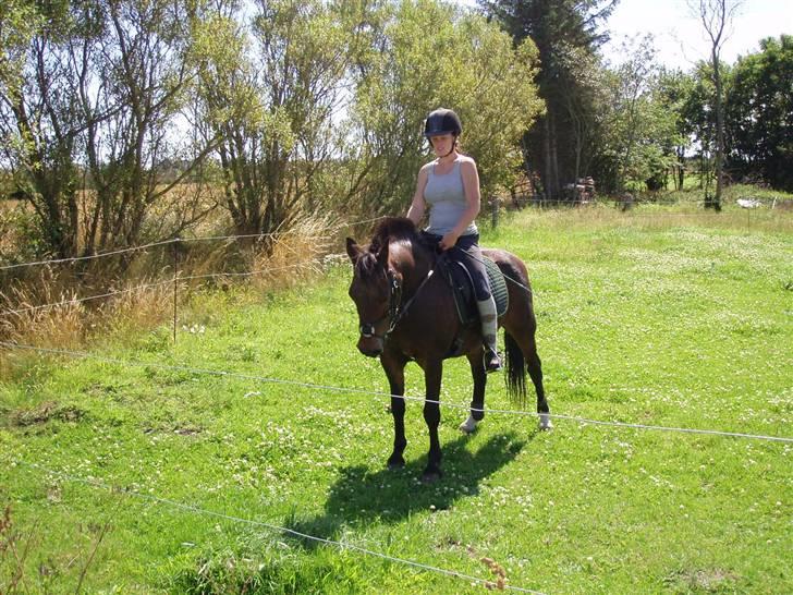 New Forest Red knigth - prøver at stå stille for fotografen billede 19