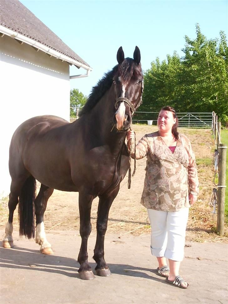 Anden særlig race Diego  - Diego en varm sommerdag..og mig billede 14
