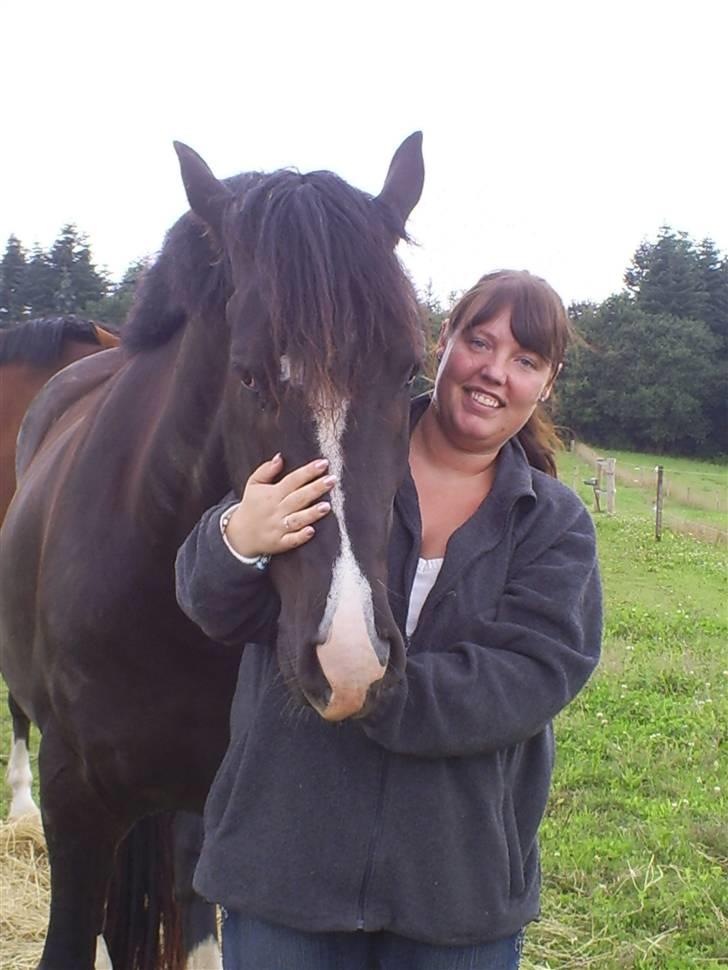 Anden særlig race Diego  billede 15