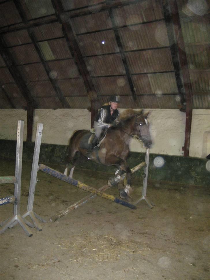 Anden særlig race Madonna<33  billede 10