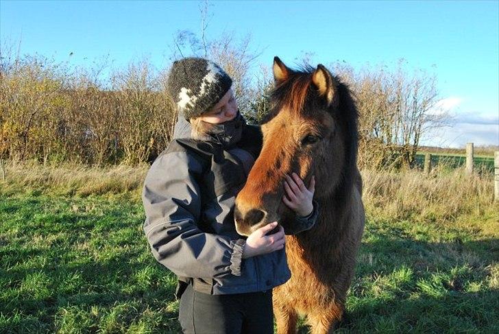 Islænder Golnir fra Nr. Felding - 8. Golnir og mig på marken Foto: Louise billede 8