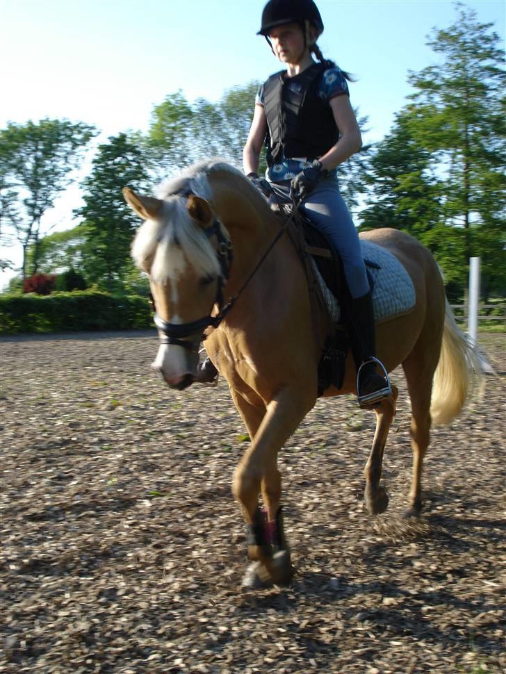 DSP Elvira Wales billede 14