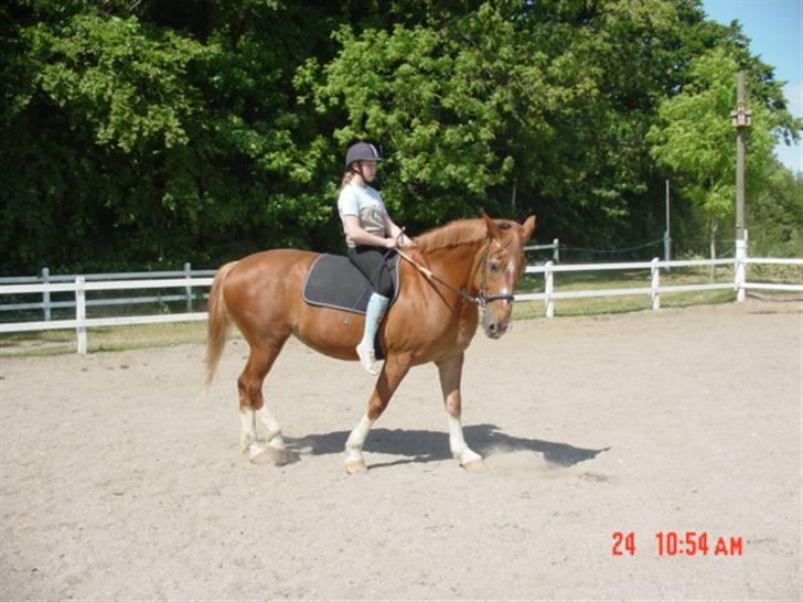 Anden særlig race Himbi *Gammel part* billede 1