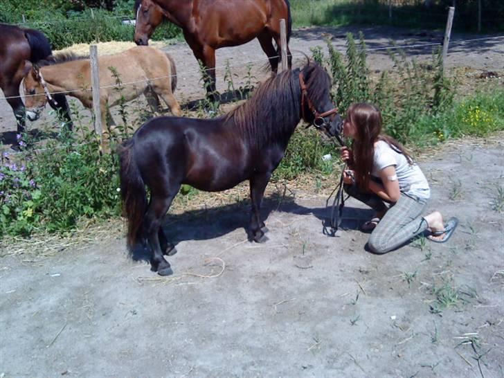Miniature Herkules R.I.P - Herkules får lige en møsser af Nanna( hans med ejer) billede 13