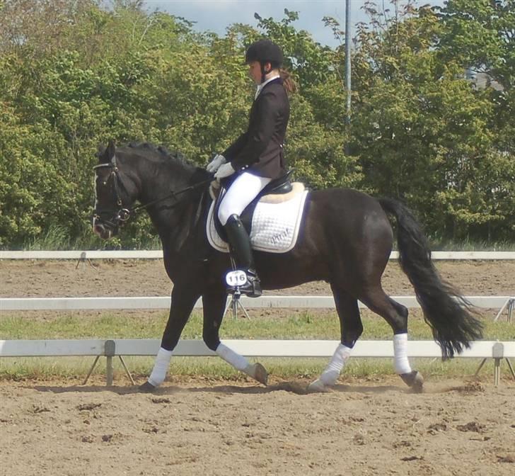 DSP Pirat   billede 2