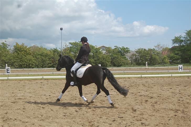 DSP Pirat   billede 3