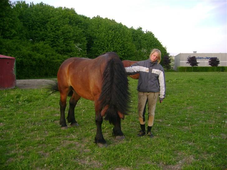 Ardenner Majviva R.i.p billede 14