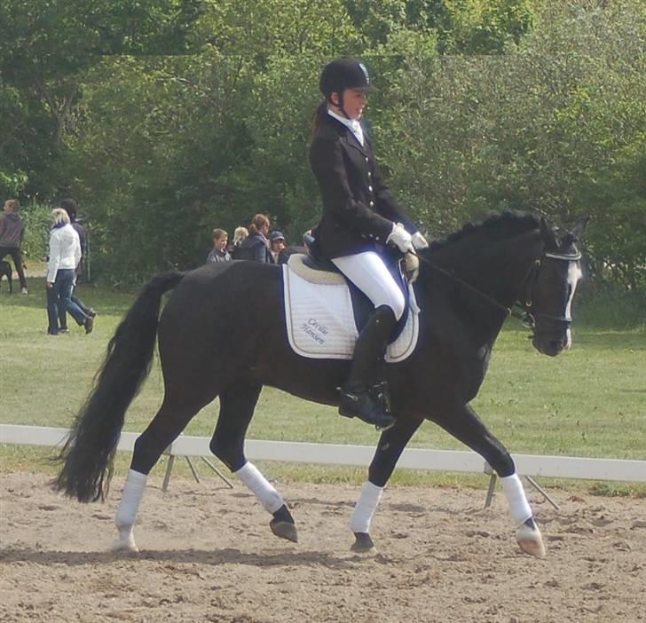 DSP Pirat   billede 4