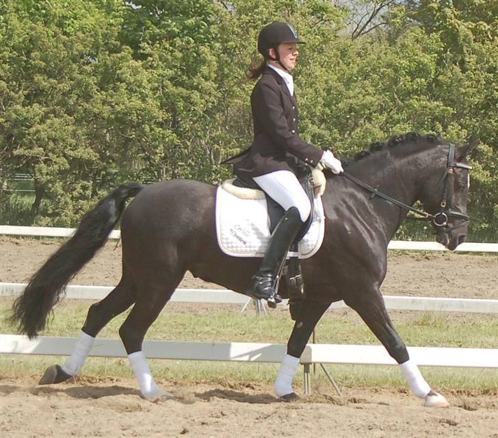 DSP Pirat   billede 5