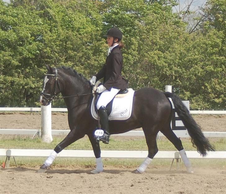 DSP Pirat   billede 6