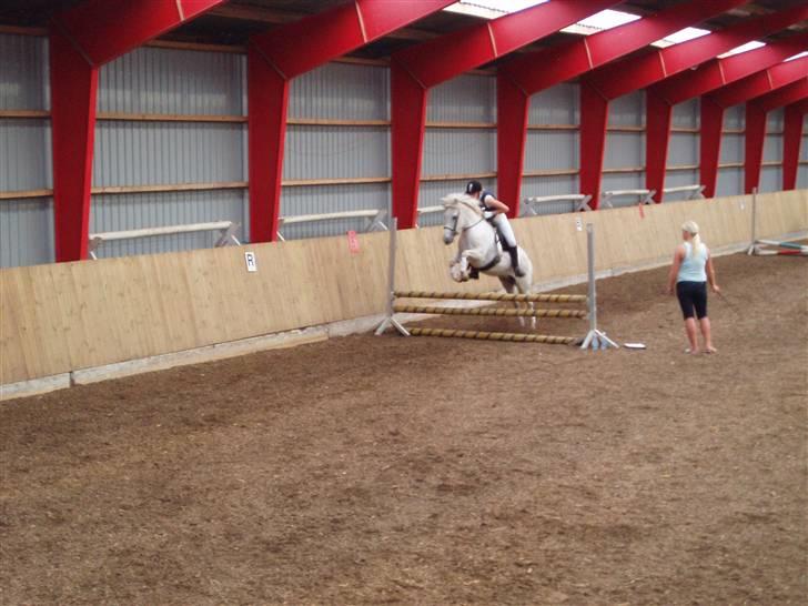 Islænder Fenja Fra Frijsbak - hun elsker det altså bare  billede 4