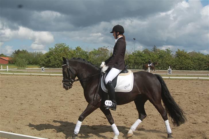 DSP Pirat   billede 7