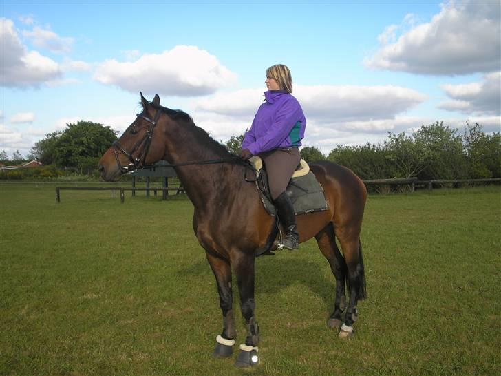 Holstener liva ( solgt ) - Lidt hygge på springbanen billede 4