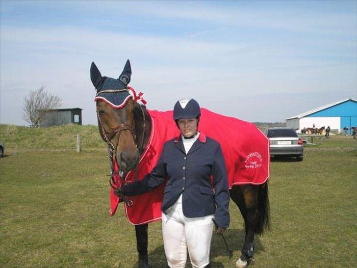 Holstener liva ( solgt ) - Fri trav på springbanen billede 5