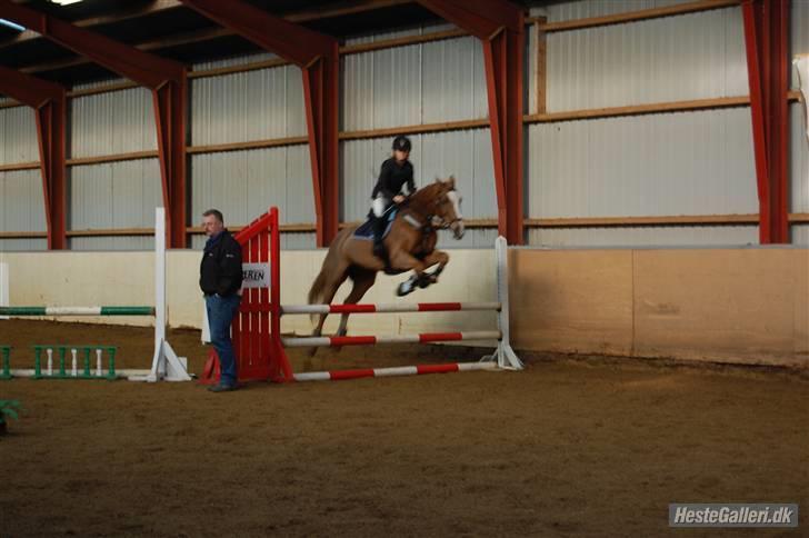 Anden særlig race The Showman - fordi JEG ELSKER DIIG!! <3 evigt billede 18