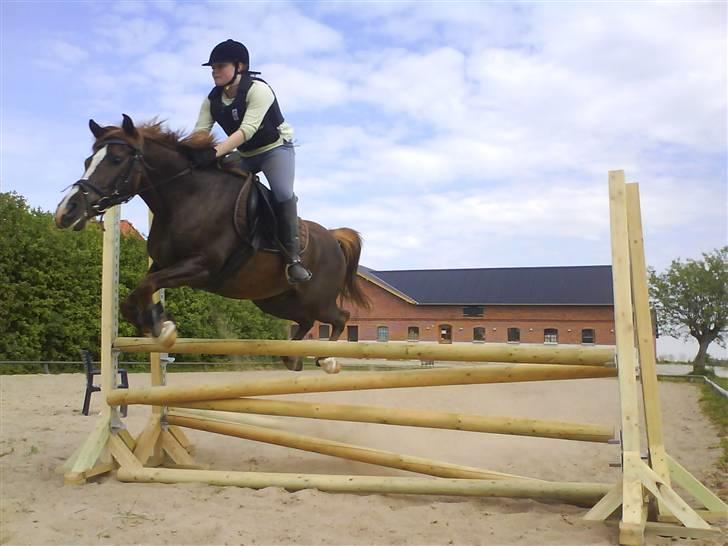 Sportsaraber (A) Zag  - vi springer 80-90 her:D:D:D<3 billede 16