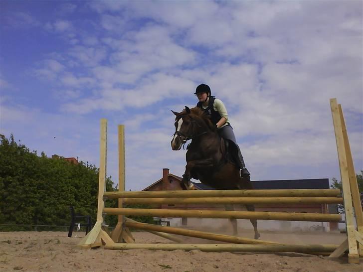 Sportsaraber (A) Zag  - mig der ride:´D iloveyou iloveyou iloveyou iloveyou billede 18