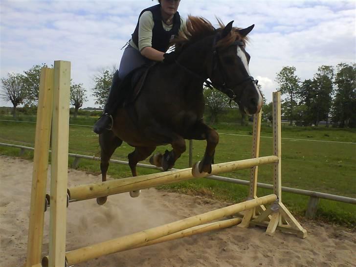 Sportsaraber (A) Zag  - da vi sprang 1 meter::D:D:D han er skøn billede 19