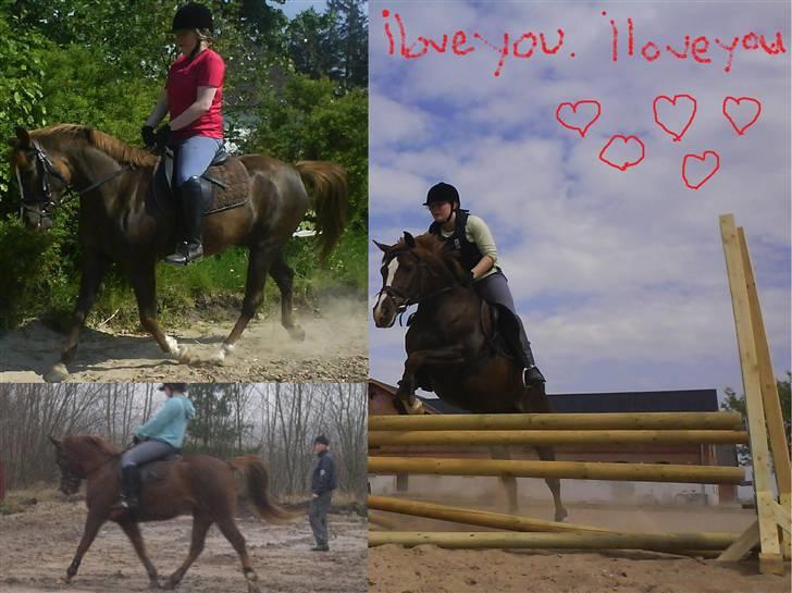 Sportsaraber (A) Zag  - iloveyou iloveyou iloveyou iloveyou billede 20